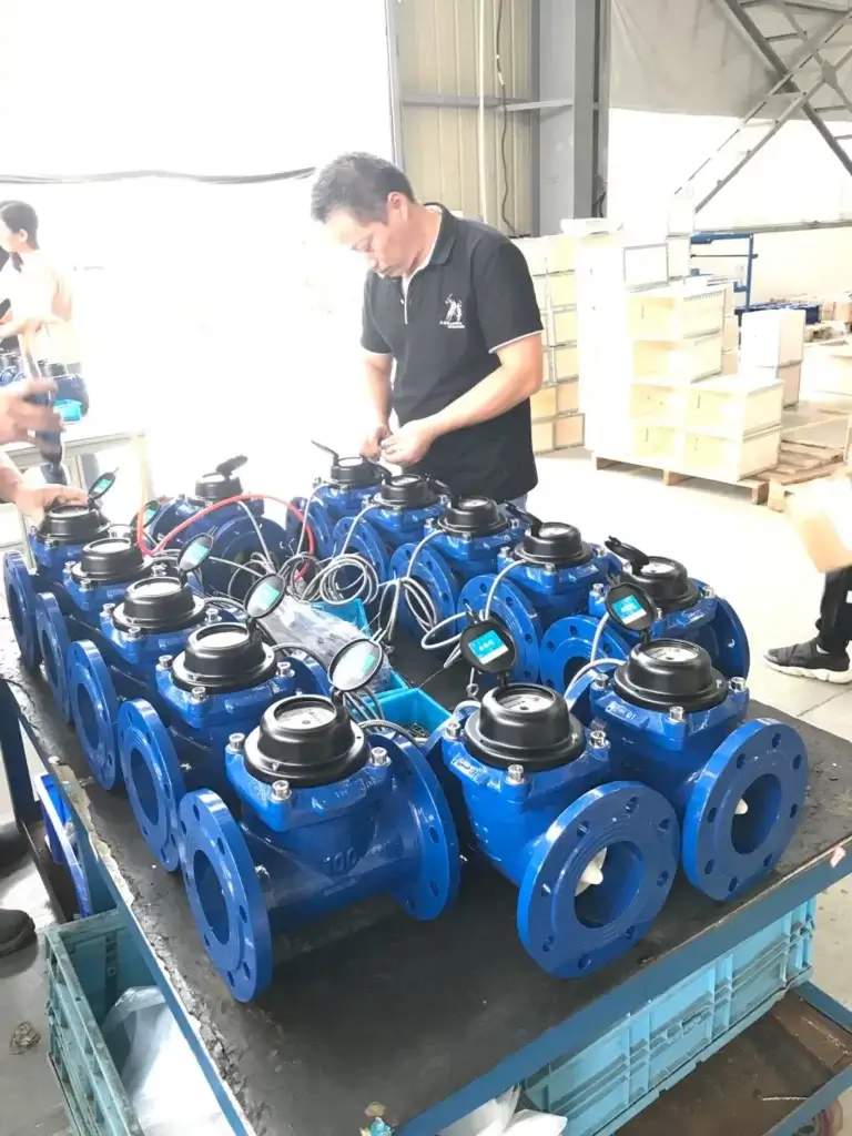 woltman bulk water meter 5