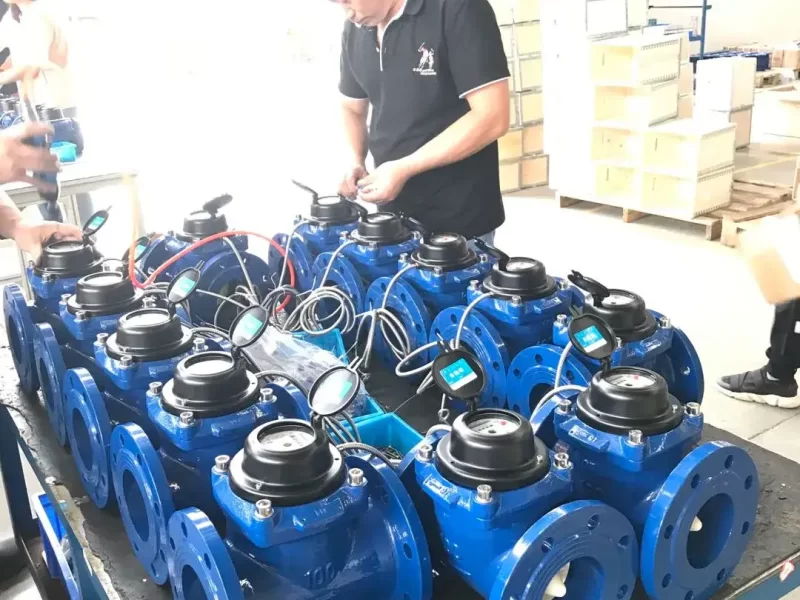Water Meter Manufacturers in China - Professional Bulk Meter and ...
